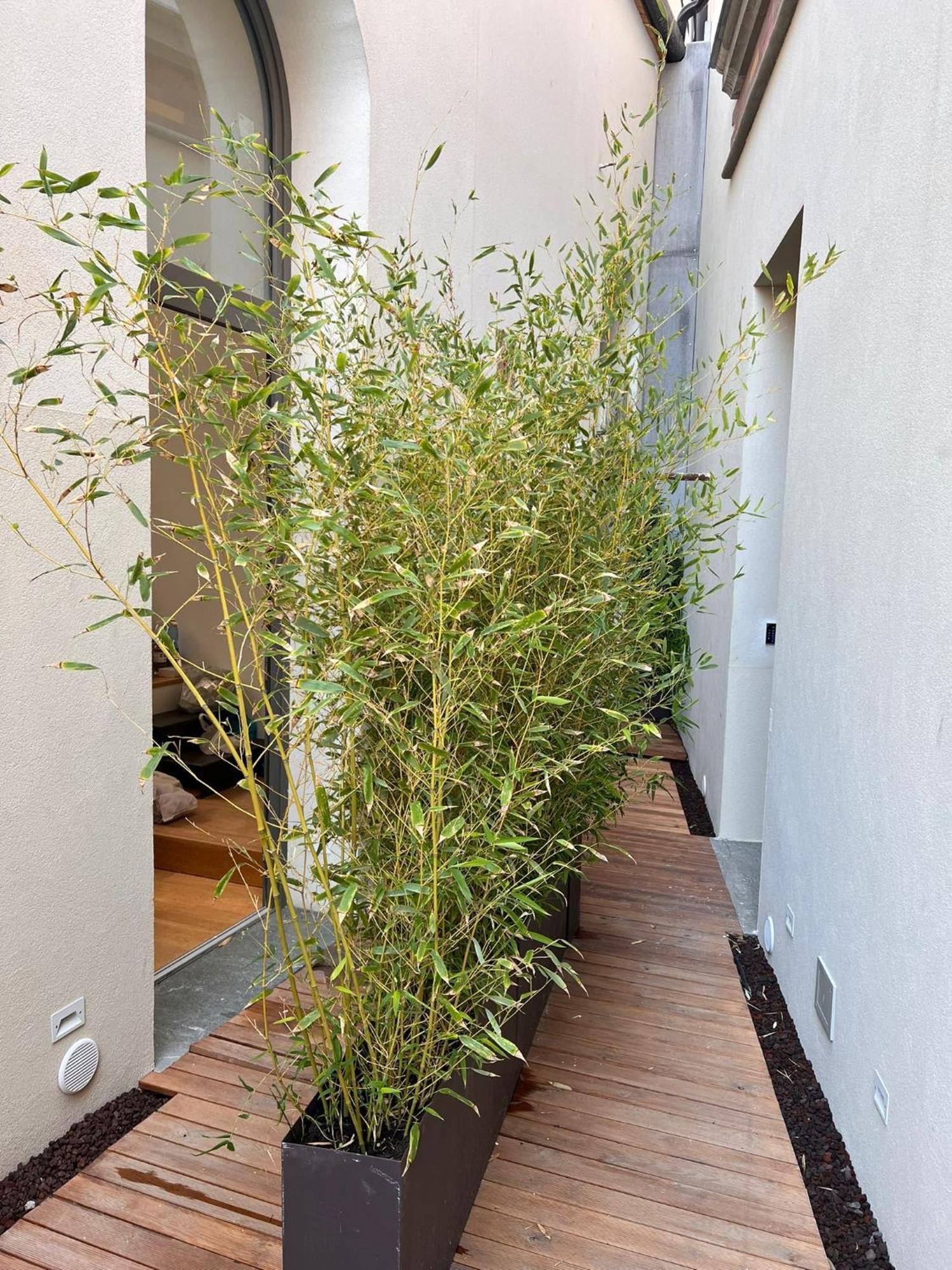 Spasimo Hotellerie Palermo Buitenkant foto